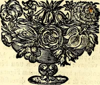An illustration from Symbolographia, sive De arte symbolica sermones septem (1702)