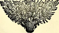 An illustration from Symbolographia, sive De arte symbolica sermones septem (1702)