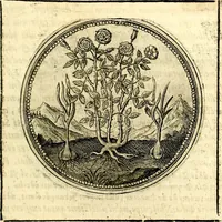 An illustration from Symbolor & emblematum ... centuria una [-quarta] (1661)