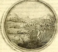 Picture 95 of 547 from Symbolor & emblematum ... centuria una [-quarta] (1661), leaf 114