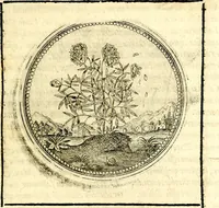 An illustration from Symbolor & emblematum ... centuria una [-quarta] (1661)