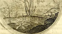 An illustration from Symbolor & emblematum ... centuria una [-quarta] (1661)