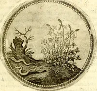 Picture 128 of 547 from Symbolor & emblematum ... centuria una [-quarta] (1661), leaf 150