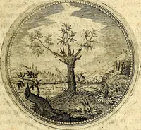 An illustration from Symbolor & emblematum ... centuria una [-quarta] (1661)