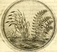 Picture 143 of 547 from Symbolor & emblematum ... centuria una [-quarta] (1661), leaf 166