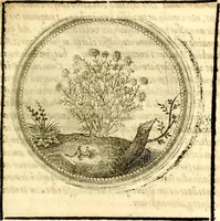 Picture 150 of 547 from Symbolor & emblematum ... centuria una [-quarta] (1661), leaf 174