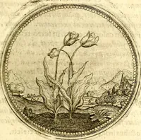 An illustration from Symbolor & emblematum ... centuria una [-quarta] (1661)