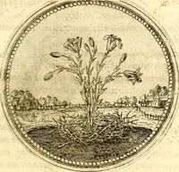 An illustration from Symbolor & emblematum ... centuria una [-quarta] (1661)
