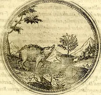 Picture 162 of 547 from Symbolor & emblematum ... centuria una [-quarta] (1661), leaf 188