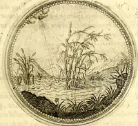 Picture 166 of 547 from Symbolor & emblematum ... centuria una [-quarta] (1661), leaf 192