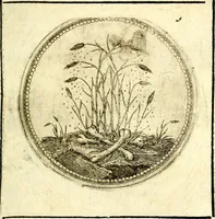 An illustration from Symbolor & emblematum ... centuria una [-quarta] (1661)