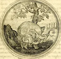 Picture 181 of 547 from Symbolor & emblematum ... centuria una [-quarta] (1661), leaf 212