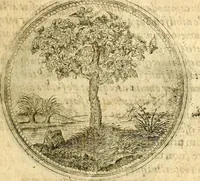 Picture 12 of 547 from Symbolor & emblematum ... centuria una [-quarta] (1661), leaf 22