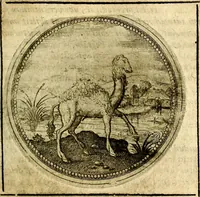 An illustration from Symbolor & emblematum ... centuria una [-quarta] (1661)