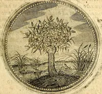 An illustration from Symbolor & emblematum ... centuria una [-quarta] (1661)