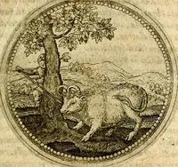 Picture 211 of 547 from Symbolor & emblematum ... centuria una [-quarta] (1661), leaf 244