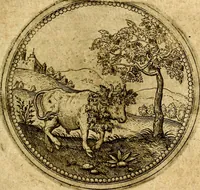 An illustration from Symbolor & emblematum ... centuria una [-quarta] (1661)