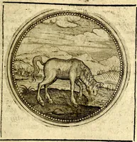 An illustration from Symbolor & emblematum ... centuria una [-quarta] (1661)