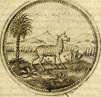 Picture 255 of 547 from Symbolor & emblematum ... centuria una [-quarta] (1661), leaf 296