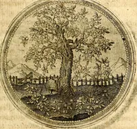 Picture 17 of 547 from Symbolor & emblematum ... centuria una [-quarta] (1661), leaf 30