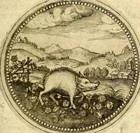 Picture 264 of 547 from Symbolor & emblematum ... centuria una [-quarta] (1661), leaf 306