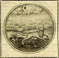 Picture 266 of 547 from Symbolor & emblematum ... centuria una [-quarta] (1661), leaf 308