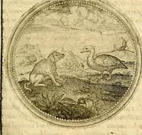 An illustration from Symbolor & emblematum ... centuria una [-quarta] (1661)