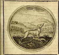 An illustration from Symbolor & emblematum ... centuria una [-quarta] (1661)