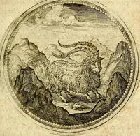 Picture 281 of 547 from Symbolor & emblematum ... centuria una [-quarta] (1661), leaf 338