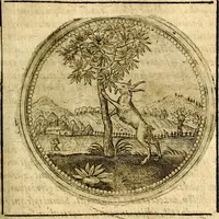 An illustration from Symbolor & emblematum ... centuria una [-quarta] (1661)