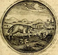 Picture 287 of 547 from Symbolor & emblematum ... centuria una [-quarta] (1661), leaf 346