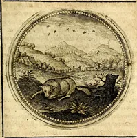 Picture 288 of 547 from Symbolor & emblematum ... centuria una [-quarta] (1661), leaf 348