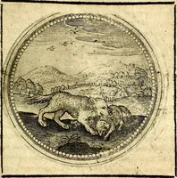 Picture 289 of 547 from Symbolor & emblematum ... centuria una [-quarta] (1661), leaf 350