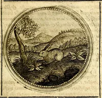 Picture 290 of 547 from Symbolor & emblematum ... centuria una [-quarta] (1661), leaf 352