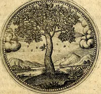 An illustration from Symbolor & emblematum ... centuria una [-quarta] (1661)