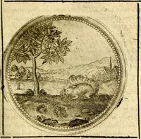 Picture 305 of 547 from Symbolor & emblematum ... centuria una [-quarta] (1661), leaf 380