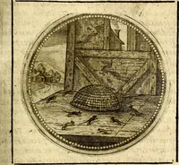 Picture 308 of 547 from Symbolor & emblematum ... centuria una [-quarta] (1661), leaf 384