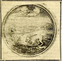 Picture 315 of 547 from Symbolor & emblematum ... centuria una [-quarta] (1661), leaf 396