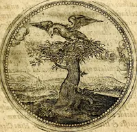 Picture 334 of 547 from Symbolor & emblematum ... centuria una [-quarta] (1661), leaf 428