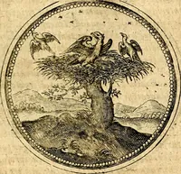 Picture 338 of 547 from Symbolor & emblematum ... centuria una [-quarta] (1661), leaf 436