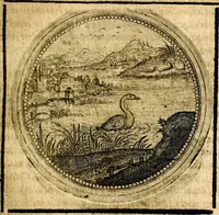 Picture 350 of 547 from Symbolor & emblematum ... centuria una [-quarta] (1661), leaf 458