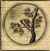 An illustration from Symbolor & emblematum ... centuria una [-quarta] (1661)