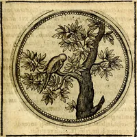 An illustration from Symbolor & emblematum ... centuria una [-quarta] (1661)