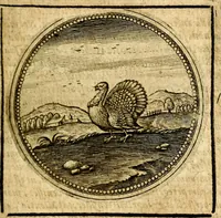An illustration from Symbolor & emblematum ... centuria una [-quarta] (1661)