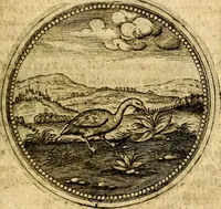 Picture 380 of 547 from Symbolor & emblematum ... centuria una [-quarta] (1661), leaf 510