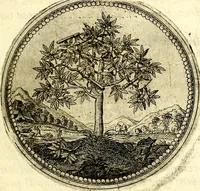 Picture 34 of 547 from Symbolor & emblematum ... centuria una [-quarta] (1661), leaf 52