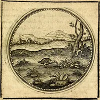 An illustration from Symbolor & emblematum ... centuria una [-quarta] (1661)