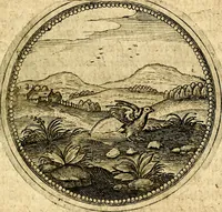 Picture 405 of 547 from Symbolor & emblematum ... centuria una [-quarta] (1661), leaf 552