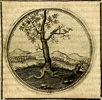 Picture 406 of 547 from Symbolor & emblematum ... centuria una [-quarta] (1661), leaf 554