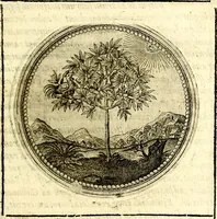 Picture 38 of 547 from Symbolor & emblematum ... centuria una [-quarta] (1661), leaf 56